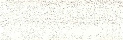 408 Кромка Бетон Пайн Белый 19*0,4 AstroDecor - фото 13612