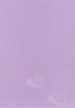 808 106350 - фото 38664