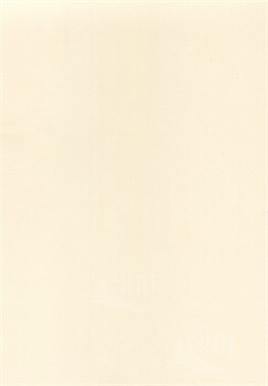 800 106355 - фото 38669