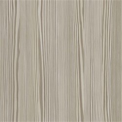 D.432.W01 Кромка ABS Сосна Липецкая серебряная  19*0,8 EXTRAVERT KNABSD.432.W01 19*0.8 - фото 62457