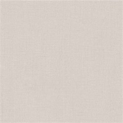 F.323.Т01 Кромка ABS Мережка Московская льняная 19*0,4 EXTRAVERT KNABSF.323.Т01 19*0.4 - фото 62460