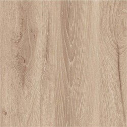 D.320.W04 Кромка ABS Дуб Савинский какао 19*0,8 EXTRAVERT KNABSD.320.W04  19*0.8 - фото 63049