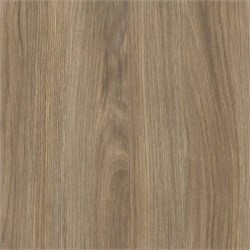 D.520.W04 Кромка ABS Дуб Уральский гречишный19*0,4 EXTRAVERT KNABSD.520.W04  19*0.4 - фото 63052