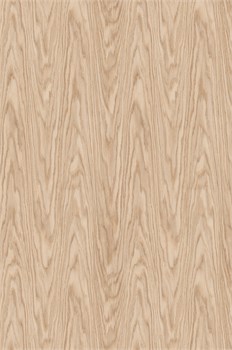 567 Кромка Эра 19*0,4 AstroDecor 567-04 - фото 63909