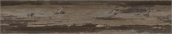 2059 мат  (3м) кромка без клея 32 мм КР0/32/2059М
