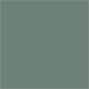 M.609.S04 Кромка ABS Зелёный таёжный 23*0,8 EXTRAVERT KNABSM.609.S04 23*0.8
