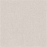 F.323.Т01 Кромка ABS Мережка Московская льняная 19*0,8 EXTRAVERT KNABSF.323.Т01 19*0.8