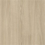 D.316.W01 Кромка ABS Дуб Владикавказский пшеничный 19*0,8 EXTRAVERT KNABSD.316.W01 19*0.8