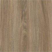 D.520.W04 Кромка ABS Дуб Уральский гречишный19*0,8 EXTRAVERT KNABSD.520.W04  19*0.8