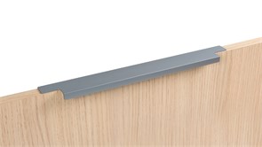 RT109GR.1/224/300 Мебельная ручка RAY RT109GR.1/224/300