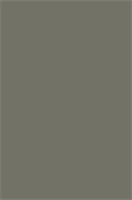 485 Кромка Хаки 19*1 485-1