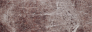 Кромка Rehau DESIGNO 1548U 43*1,5мм Императорский мрамор  13093731056