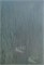 585 106296 - фото 38610